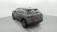 Citroen C4 Cactus BlueHDi 100 S S BVM6 Feel 2020 photo-05