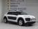 Citroen C4 Cactus BUSINESS e-HDi 92 ETG6 2014 photo-03