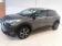 Citroen C4 Cactus BUSINESS PureTech 110 S&S BVM6 Feel 2020 photo-02