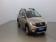 Dacia Sandero 1.0 ECO-G 100ch Stepway 2020 photo-03