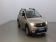 Dacia Sandero 1.0 ECO-G 100ch Stepway 2020 photo-03