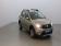 Dacia Sandero 1.0 ECO-G 100ch Stepway 2020 photo-03