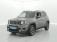 Jeep Renegade 1.0 GSE T3 120ch Quiksilver Edition 2020 photo-02