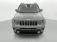 Jeep Renegade 1.0 T3 120 CH BVM6 LIMITED 2020 photo-03
