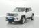 Jeep Renegade 1.6 MultiJet 120ch Limited 2019 photo-02