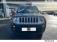 JEEP Renegade 1.6 MultiJet S&S 120ch Limited  2016 photo-05