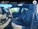 LEXUS NX 450h+ 4WD F SPORT Executive  2022 photo-11