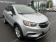 Opel Mokka X 1.6 D 110 Business Edition 4x2 Euro6d-T 2018 photo-02