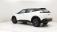 Peugeot 2008 1.2 PureTech S&S 130ch Automatique/8 Active pack 2021 photo-04