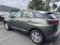 Peugeot 3008 1.2 PureTech 130ch Active S&S 2017 photo-09