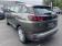 Peugeot 3008 1.2 PureTech 130ch Active S&S 2017 photo-10