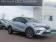 Renault Captur Blue dCi 115 Intens 2020 photo-02