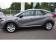 Renault Captur Blue dCi 95 Business 2020 photo-04