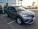 Renault Captur Blue dCi 95 Business 2020 photo-08