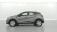 Renault Captur TCe 100 Business 5p 2020 photo-03