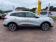 Renault Kadjar 1.5 Blue dCi 115ch Intens 135g 2020 photo-06