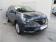 Renault Kadjar Blue dCi 115 Business 2019 photo-03