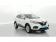 Renault Kadjar Blue dCi 115 Business 2019 photo-08