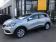 Renault Kadjar Blue dCi 115 Business 2020 photo-03