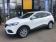 Renault Kadjar Blue dCi 115 EDC Business 2020 photo-03