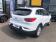 Renault Kadjar Blue dCi 115 EDC Business 2020 photo-06