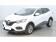 Renault Kadjar Blue dCi 115 EDC Business 2020 photo-02