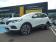 Renault Kadjar Blue dCi 115 EDC Intens 2019 photo-02