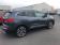 Renault Kadjar Blue dCi 115 EDC Intens 2019 photo-04