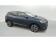 Renault Kadjar Blue dCi 115 Intens 2019 photo-08