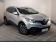 Renault Kadjar BUSINESS dCi 110 Energy 2018 photo-05