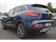 Renault Kadjar TCe 130 Energy Armor-Lux 2018 photo-06