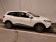 Renault Kadjar TCe 130 Energy Business 2017 photo-02