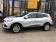 Renault Kadjar TCe 140 FAP Business 2021 photo-03