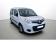 Renault Kangoo Blue dCi 95 Trend 2020 photo-03