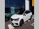 Renault Megane Estate Intens E-TECH Plug-in Hybride 160 2021 photo-03