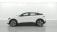 Renault Megane EV60 130ch super charge Evolution ER 5p 2022 photo-03