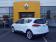 Renault Scenic IV BUSINESS Blue dCi 120 2019 photo-05