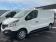 Renault Trafic (30) FGN L1H1 1000 KG DCI 95 E6 GRAND CONFORT 2019 photo-02