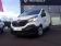 Renault Trafic FOURGON FGN L1H1 1200 KG DCI 125 2019 photo-02